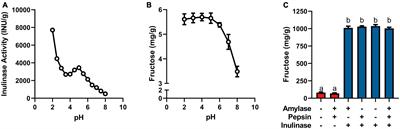 Microbial inulinase promotes fructan hydrolysis under simulated gastric conditions